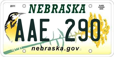 NE license plate AAE290