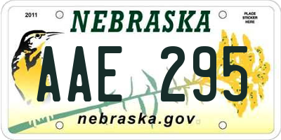 NE license plate AAE295
