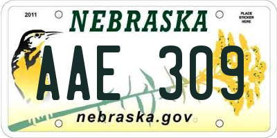 NE license plate AAE309