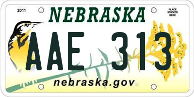 NE license plate AAE313
