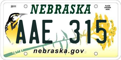 NE license plate AAE315