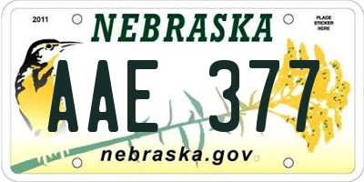 NE license plate AAE377