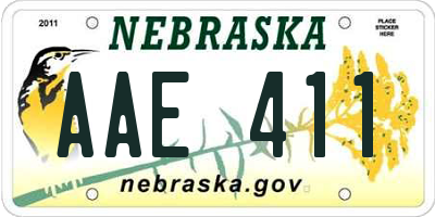 NE license plate AAE411