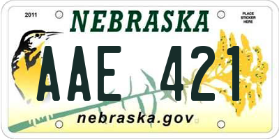 NE license plate AAE421