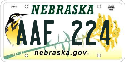 NE license plate AAF224