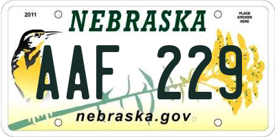 NE license plate AAF229