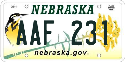 NE license plate AAF231