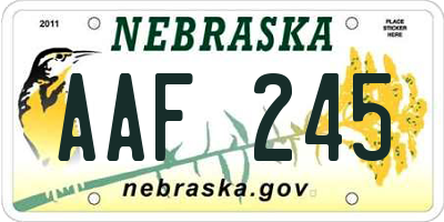 NE license plate AAF245