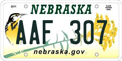 NE license plate AAF307