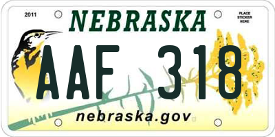 NE license plate AAF318