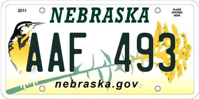 NE license plate AAF493