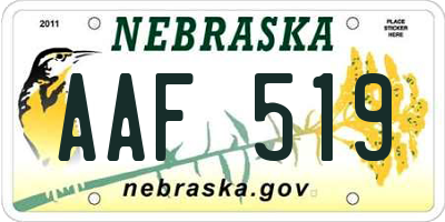 NE license plate AAF519