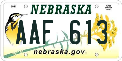 NE license plate AAF613