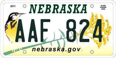 NE license plate AAF824