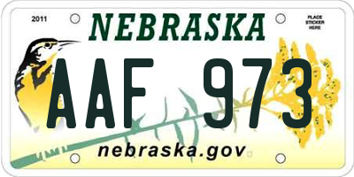 NE license plate AAF973