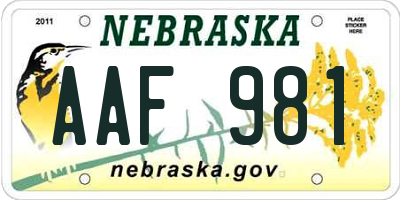 NE license plate AAF981