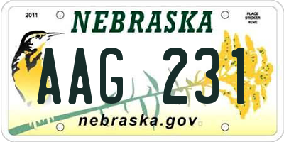 NE license plate AAG231
