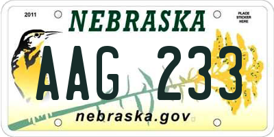 NE license plate AAG233