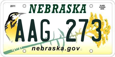 NE license plate AAG273