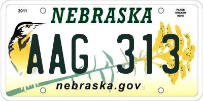 NE license plate AAG313