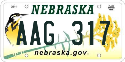 NE license plate AAG317