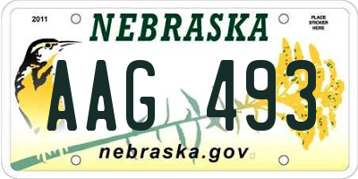 NE license plate AAG493