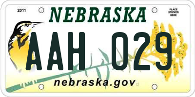 NE license plate AAH029