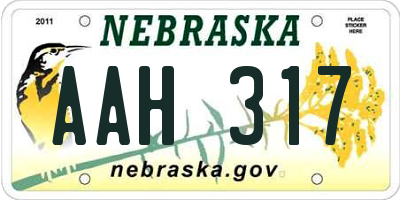 NE license plate AAH317