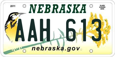 NE license plate AAH613