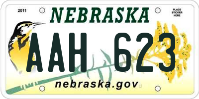 NE license plate AAH623