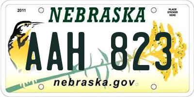 NE license plate AAH823