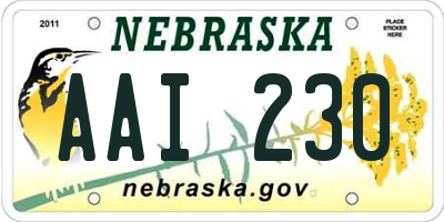 NE license plate AAI230