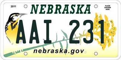 NE license plate AAI231