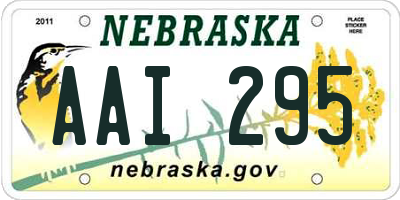 NE license plate AAI295