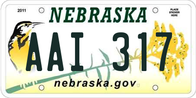 NE license plate AAI317