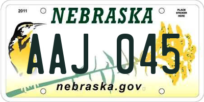 NE license plate AAJ045