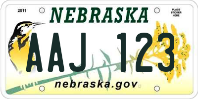 NE license plate AAJ123