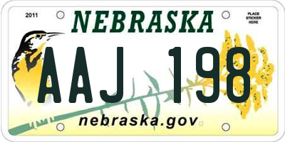 NE license plate AAJ198