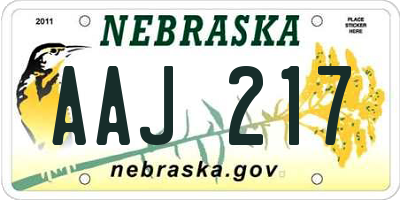 NE license plate AAJ217