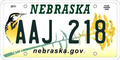 NE license plate AAJ218