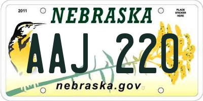 NE license plate AAJ220