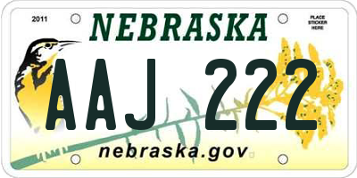 NE license plate AAJ222