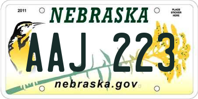 NE license plate AAJ223