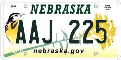 NE license plate AAJ225