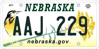 NE license plate AAJ229