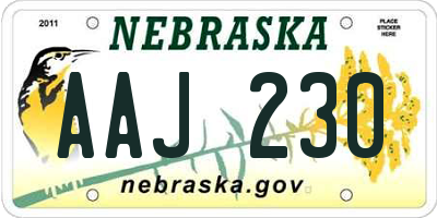 NE license plate AAJ230