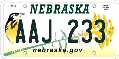 NE license plate AAJ233