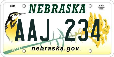 NE license plate AAJ234