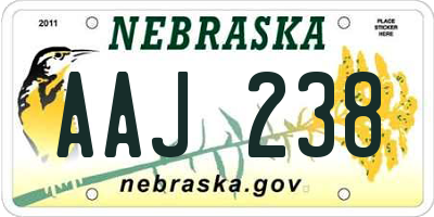 NE license plate AAJ238