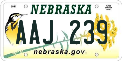 NE license plate AAJ239